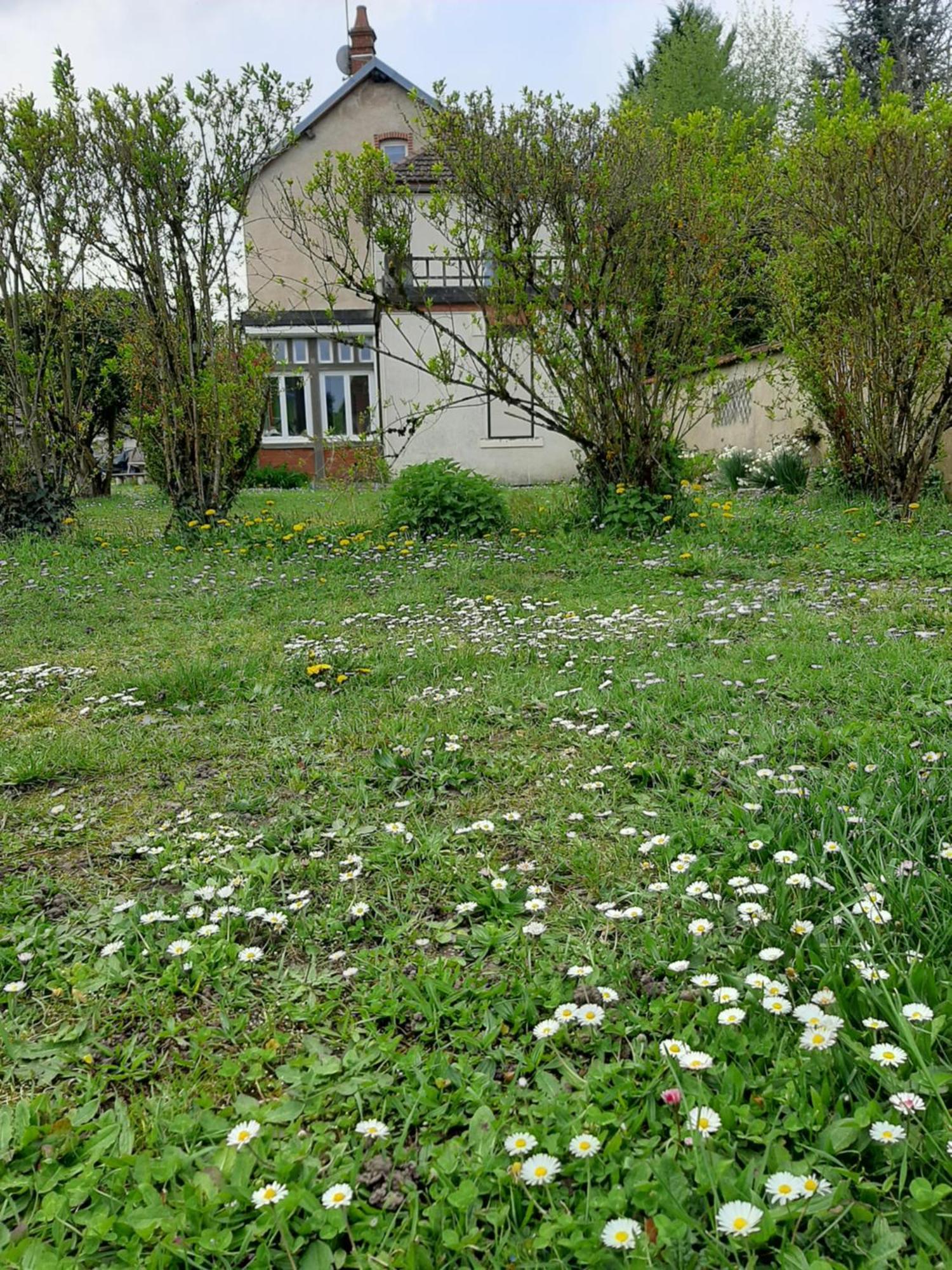 La Coutrotte Becquine Hotel Heuilley-sur-Saone Bagian luar foto