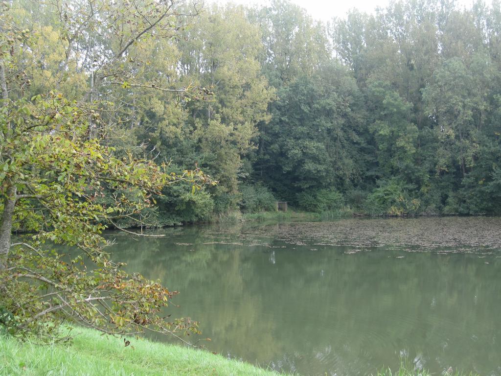 La Coutrotte Becquine Hotel Heuilley-sur-Saone Bagian luar foto